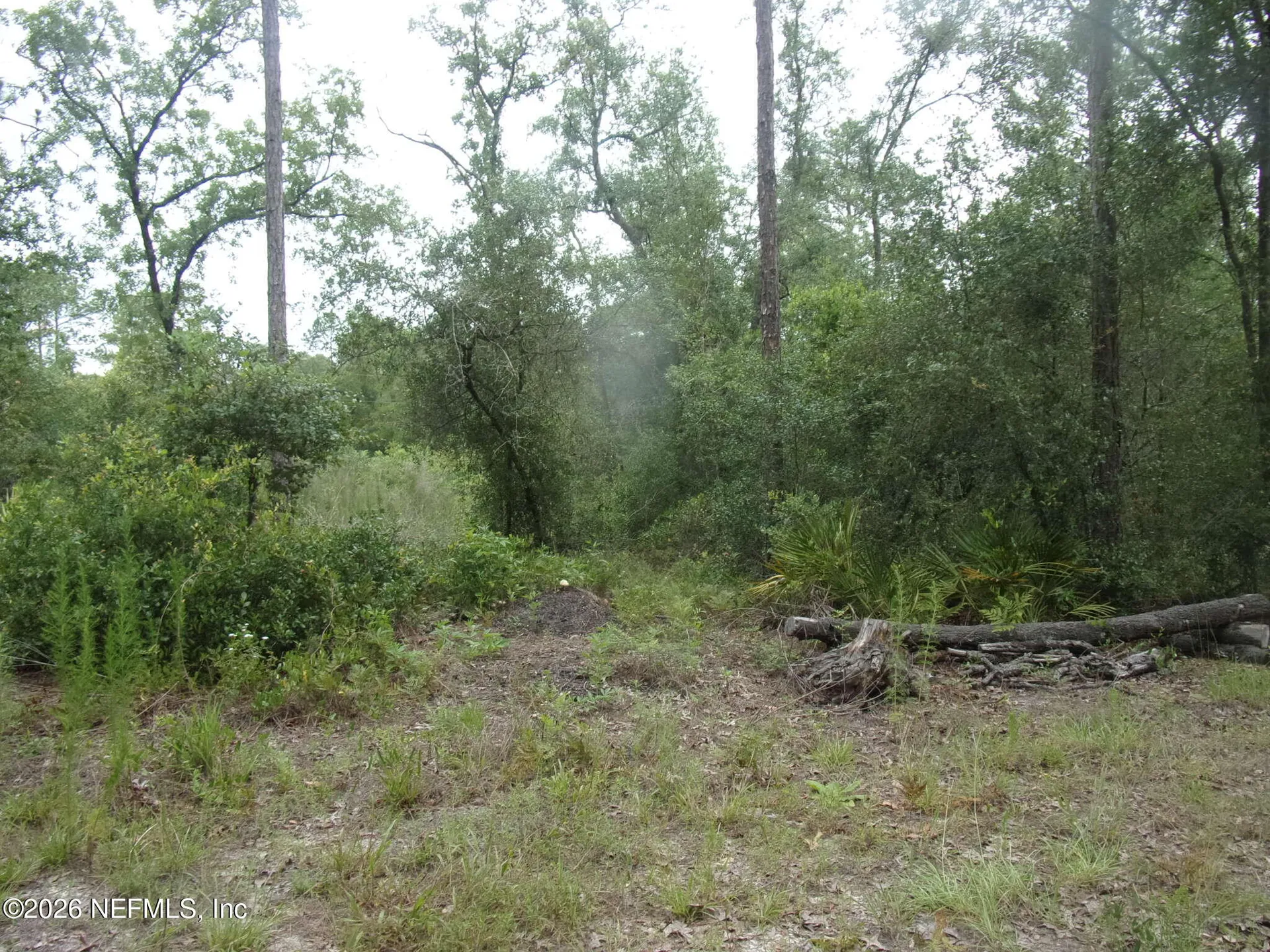 164 Lake Circle Satsuma FL 32189
