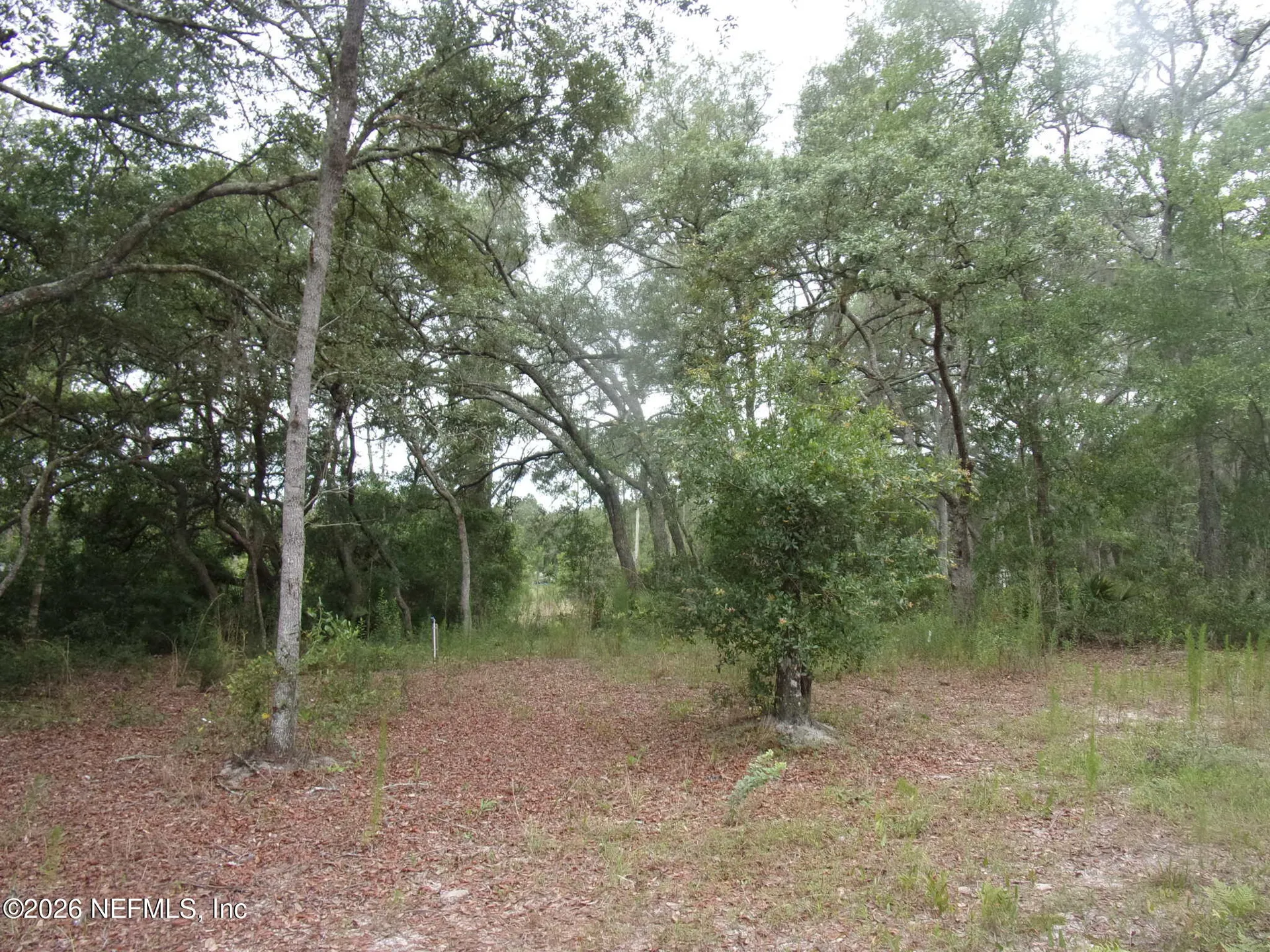 164 Lake Circle Satsuma FL 32189