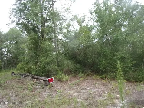 164 Lake Circle Satsuma FL 32189