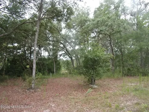 164 Lake Circle Satsuma FL 32189