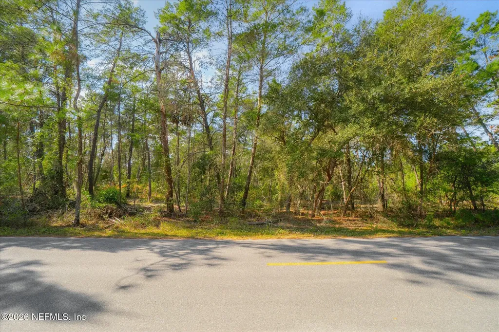 1027 Pineapple Street Welaka FL 32181