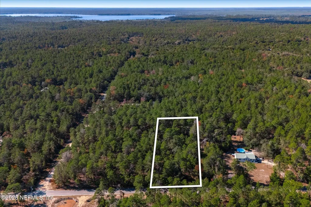 1027 Pineapple Street Welaka FL 32181