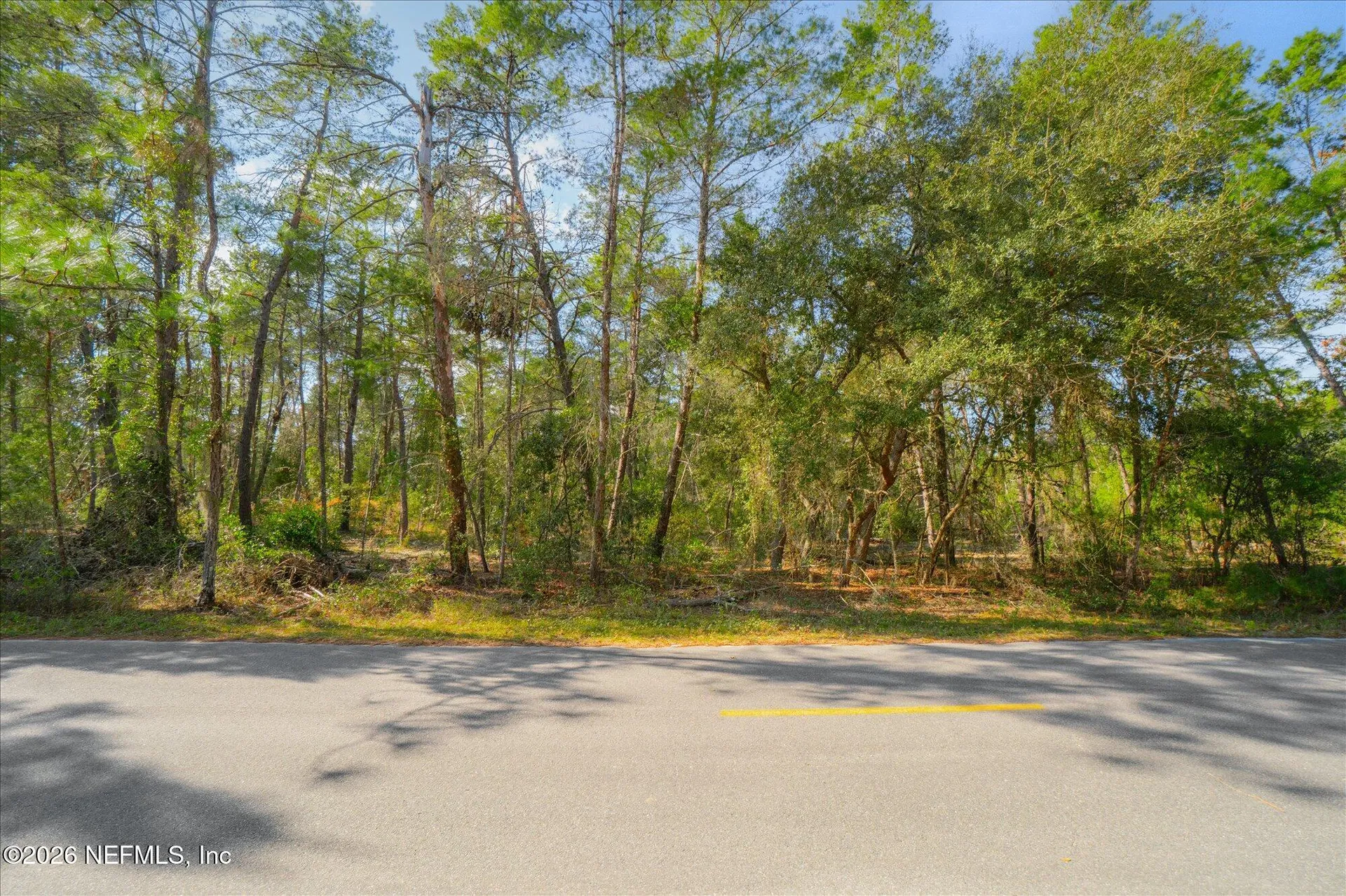 1027 Pineapple Street Welaka FL 32181
