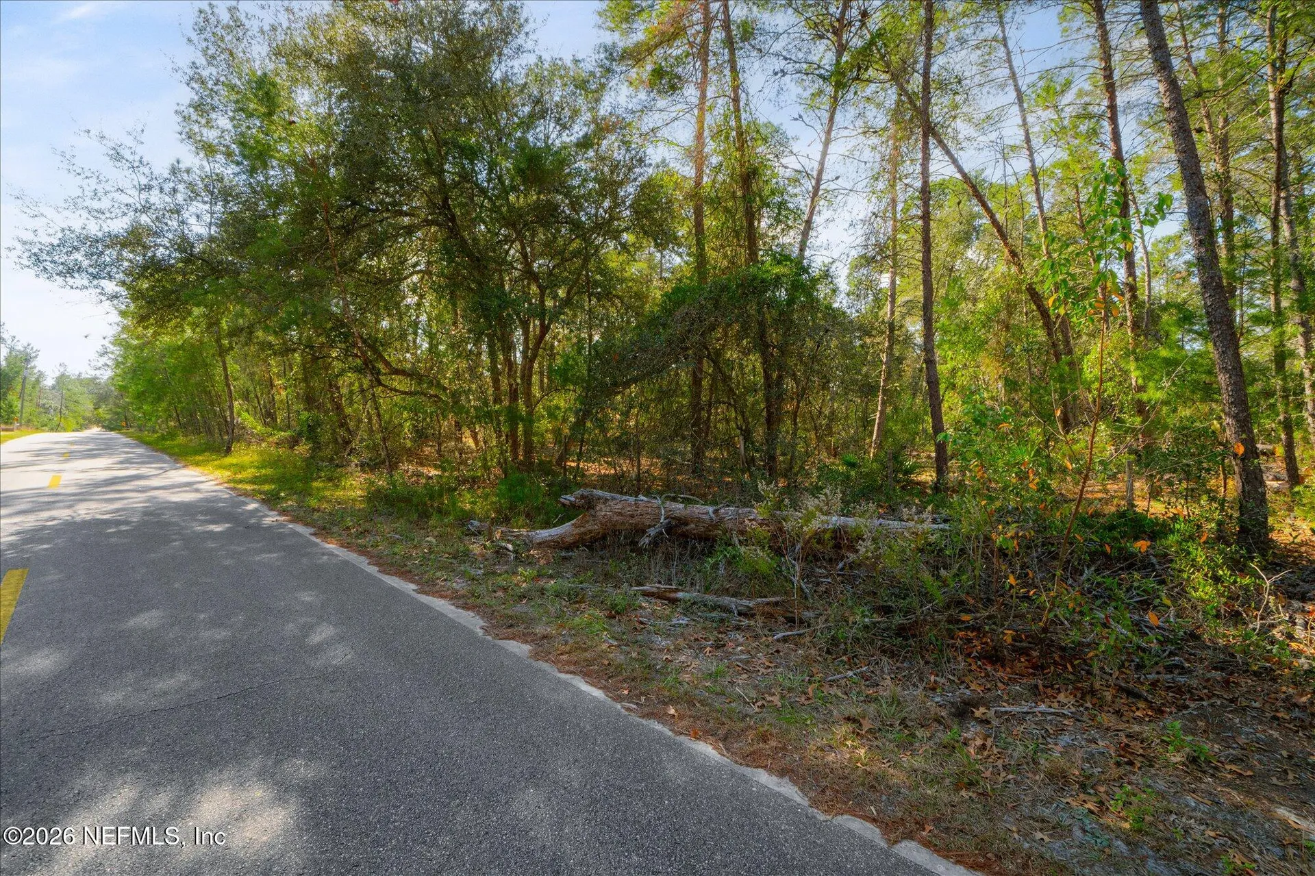 1027 Pineapple Street Welaka FL 32181