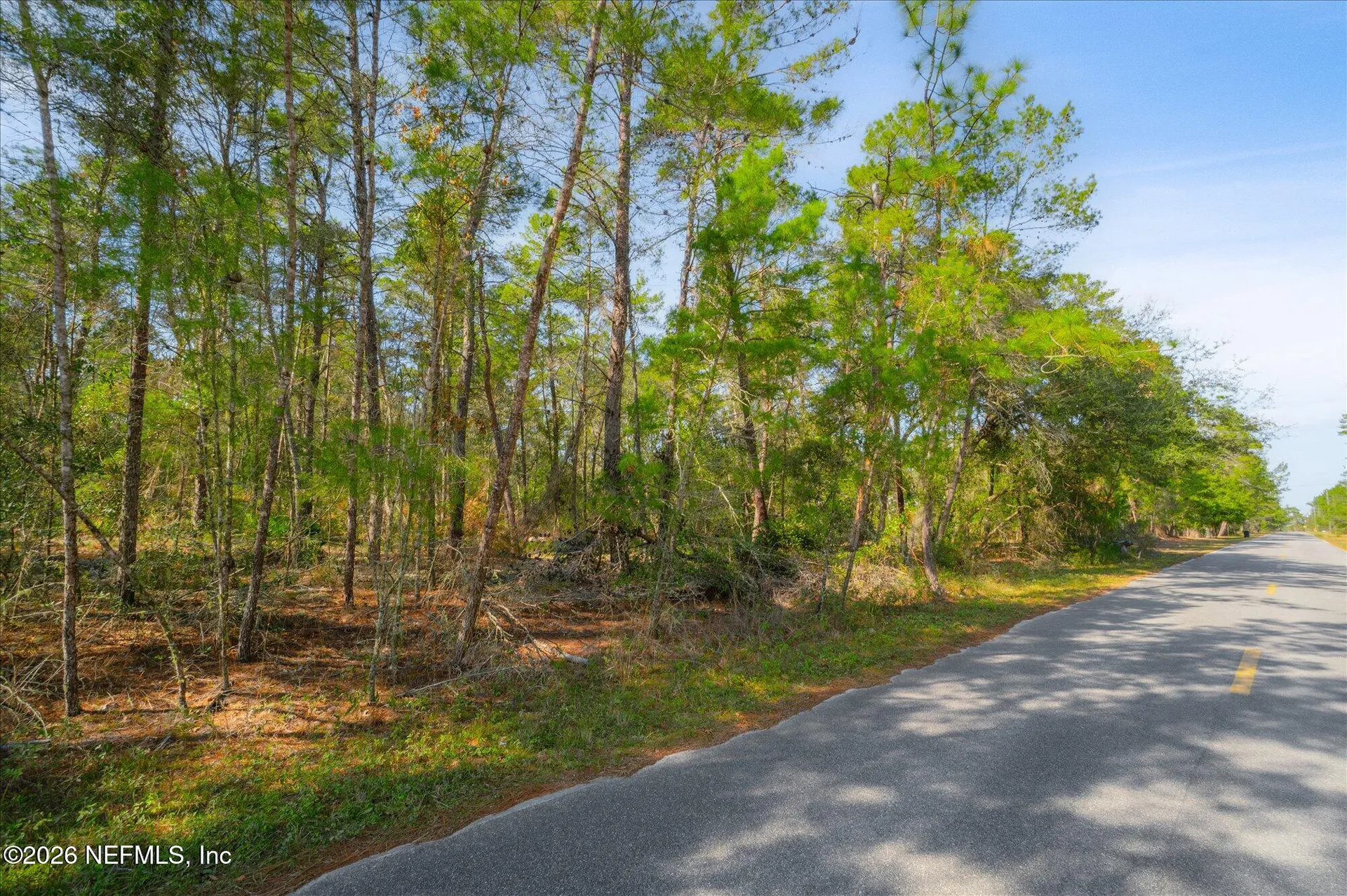 1027 Pineapple Street Welaka FL 32181