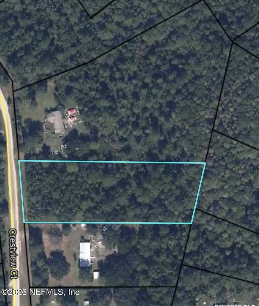 1973 Crestview Court Middleburg FL 32068