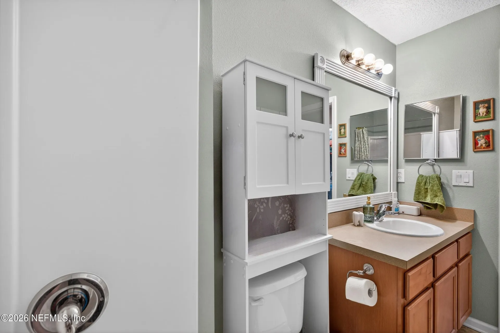 717 Celebration Lane Middleburg FL 32068
