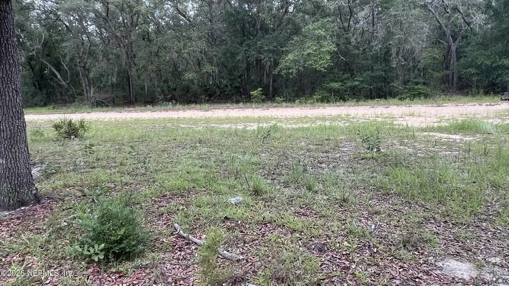 1107 Usina Avenue Interlachen FL 32148