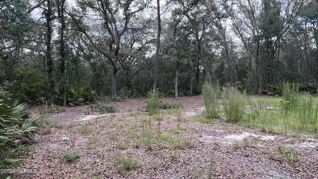 1107 Usina Avenue Interlachen FL 32148