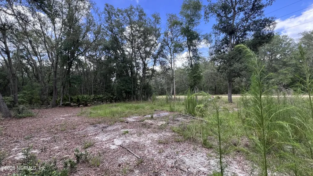 1107 Usina Avenue Interlachen FL 32148