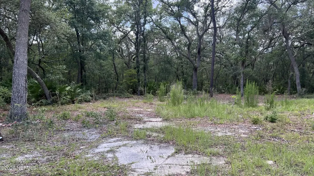 1107 Usina Avenue Interlachen FL 32148