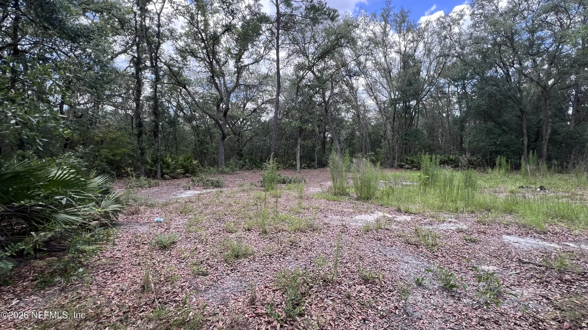 1107 Usina Avenue Interlachen FL 32148