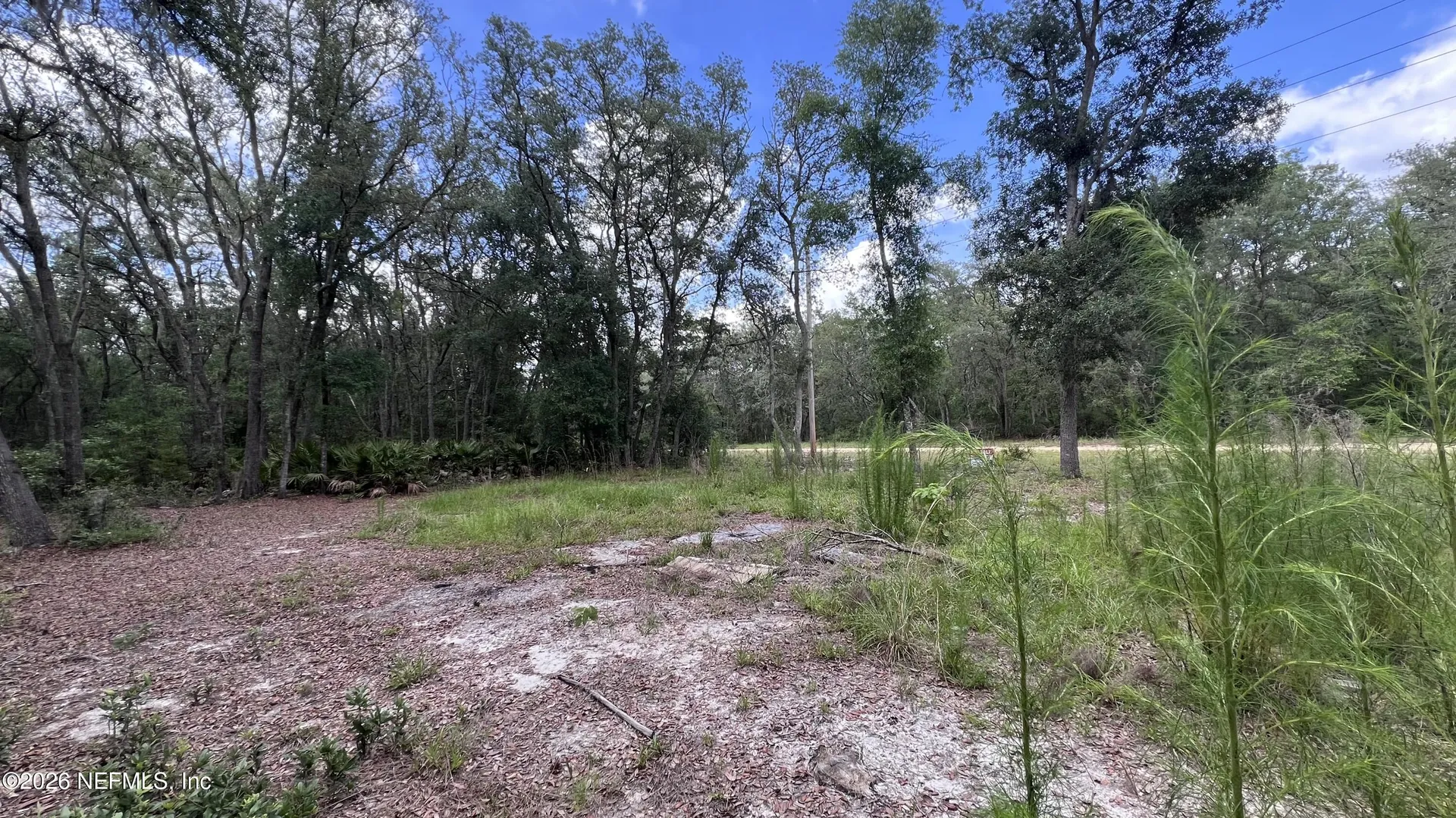 1107 Usina Avenue Interlachen FL 32148