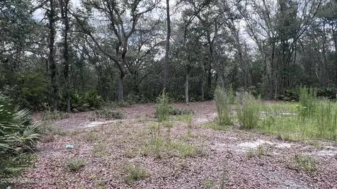 1107 Usina Avenue Interlachen FL 32148