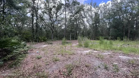 1107 Usina Avenue Interlachen FL 32148