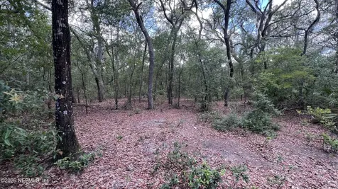 1107 Usina Avenue Interlachen FL 32148