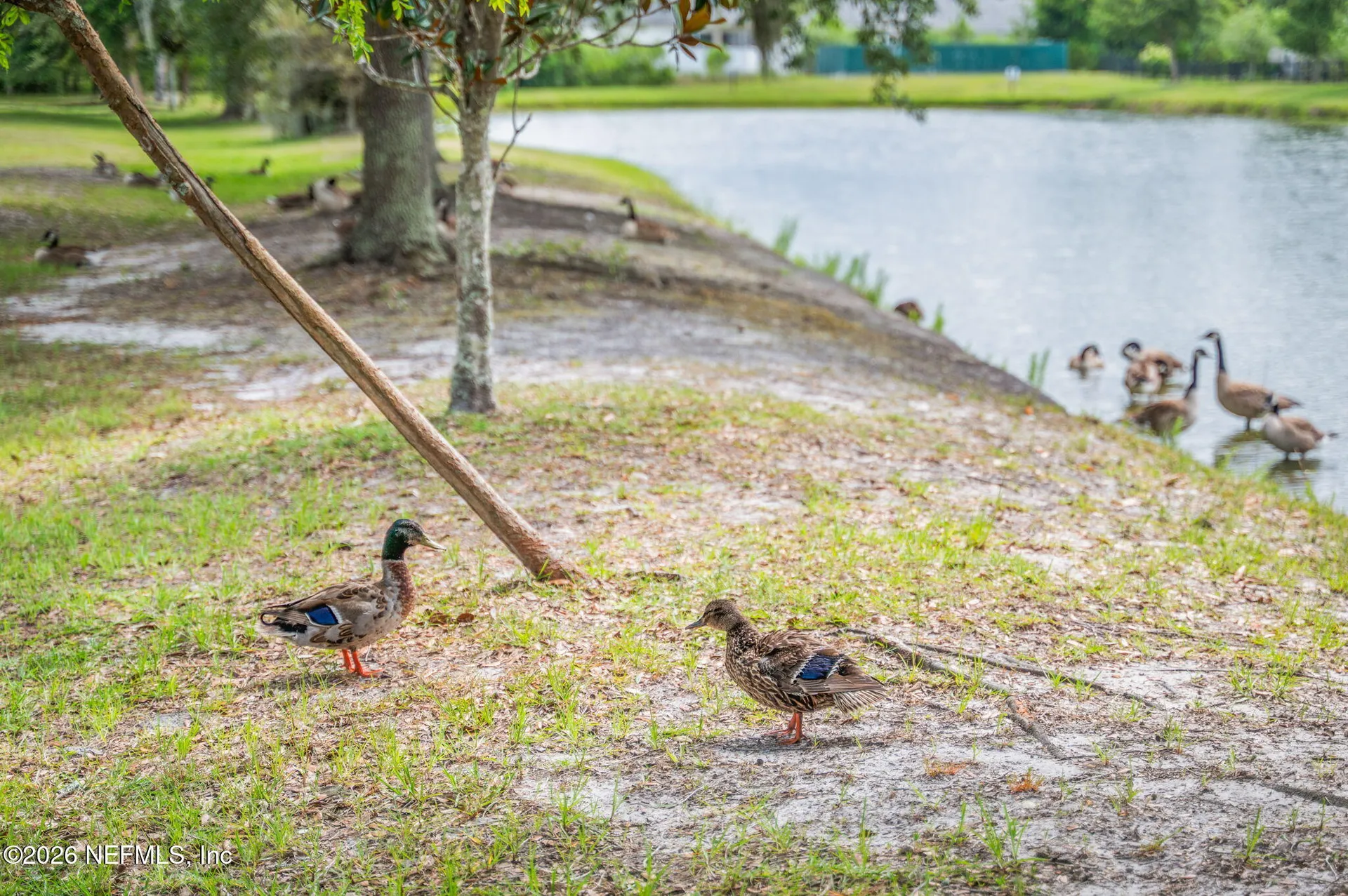 216 Deerfield Glen Drive St. Augustine FL 32086