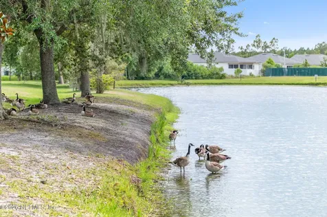 216 Deerfield Glen Drive St. Augustine FL 32086