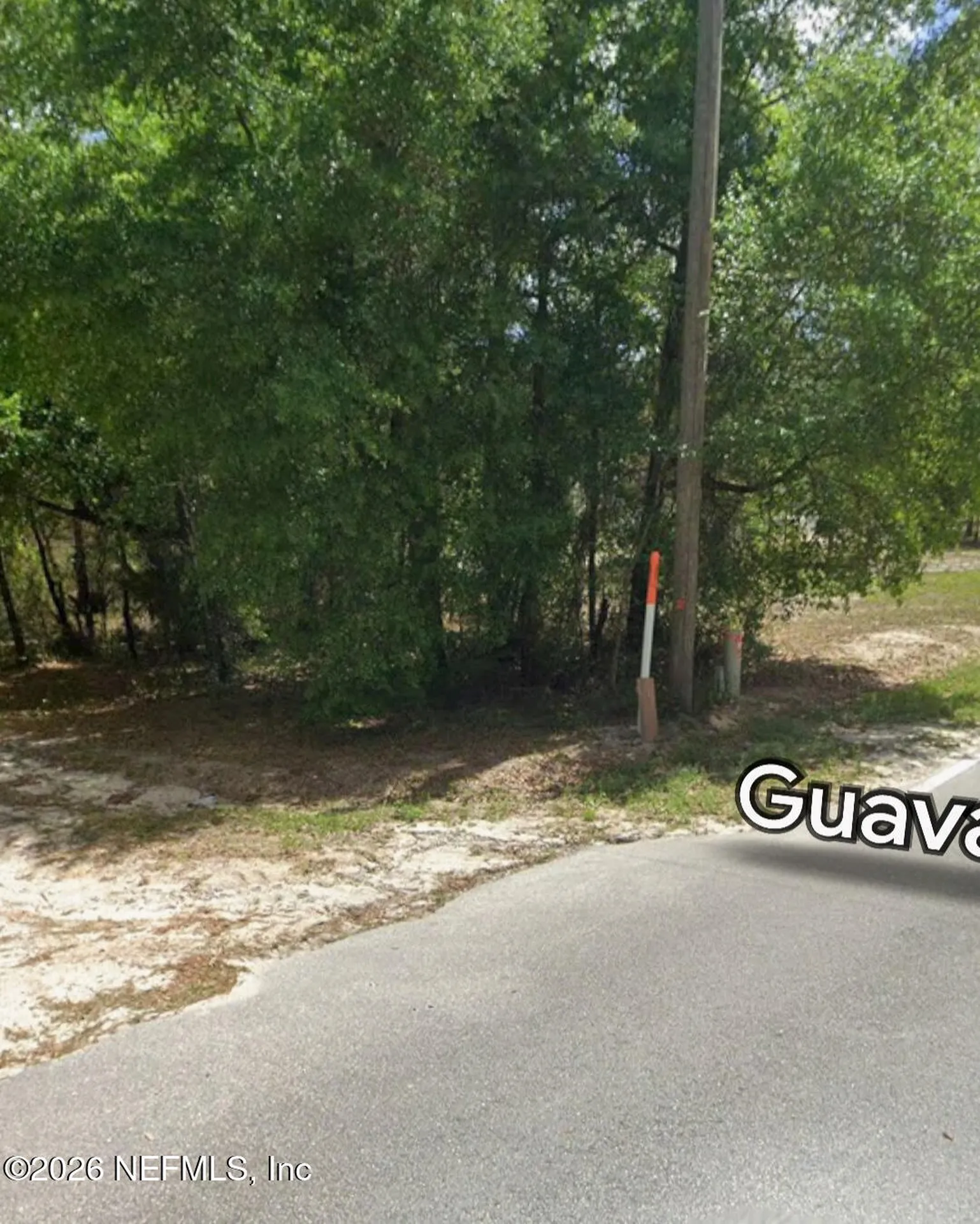 202 Guava Avenue Pomona Park FL 32181