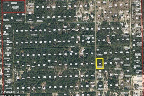 202 Guava Avenue Pomona Park FL 32181