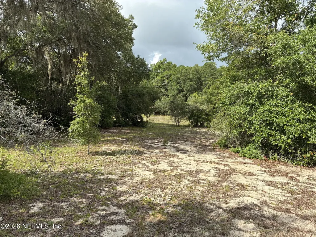 0220 Chesser Monroe Road Interlachen FL 32148