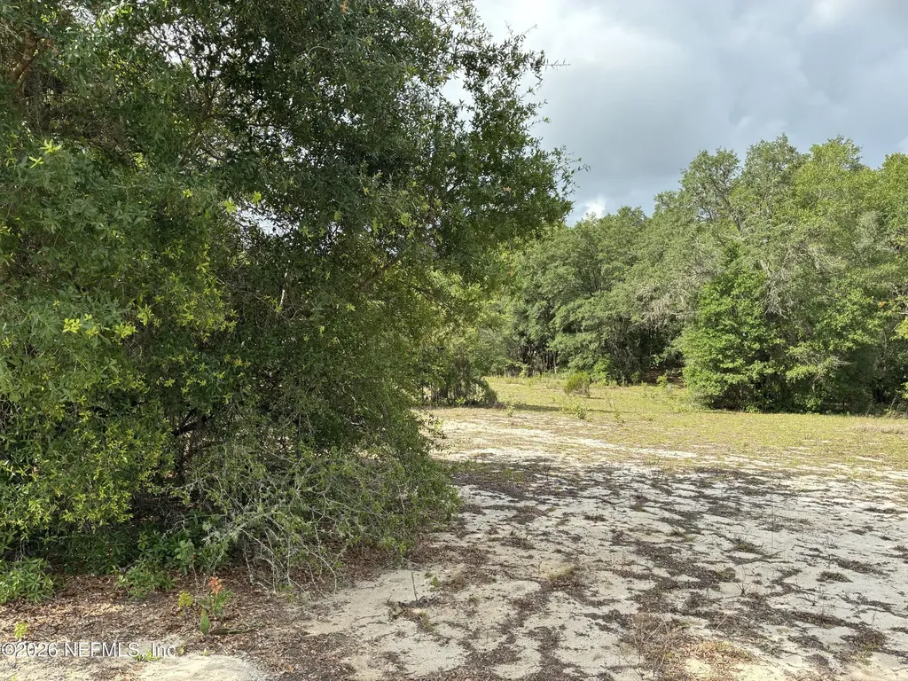 0220 Chesser Monroe Road Interlachen FL 32148