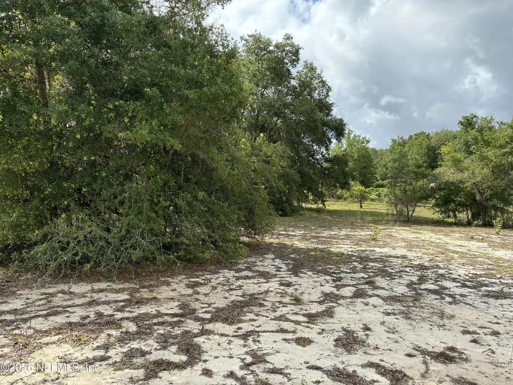 0220 Chesser Monroe Road Interlachen FL 32148