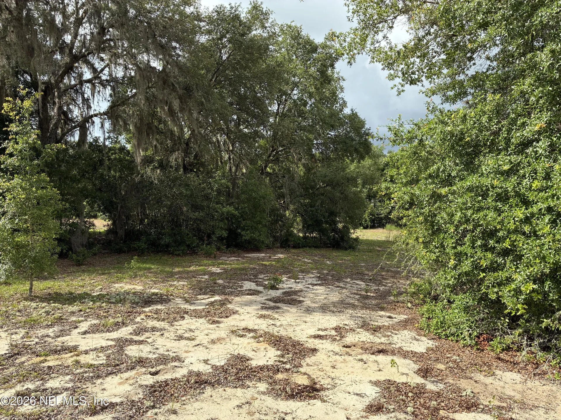 0220 Chesser Monroe Road Interlachen FL 32148