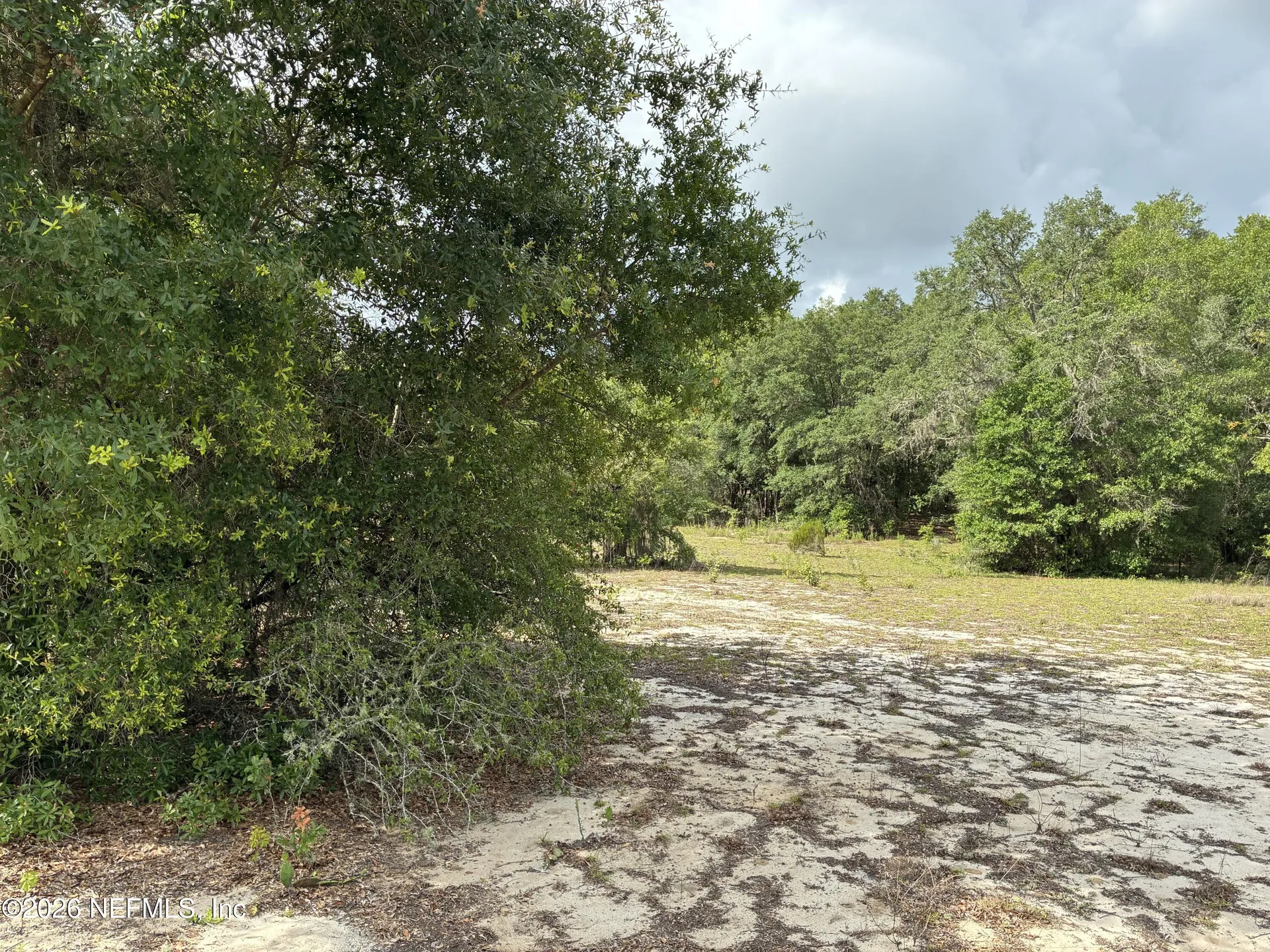 0220 Chesser Monroe Road Interlachen FL 32148