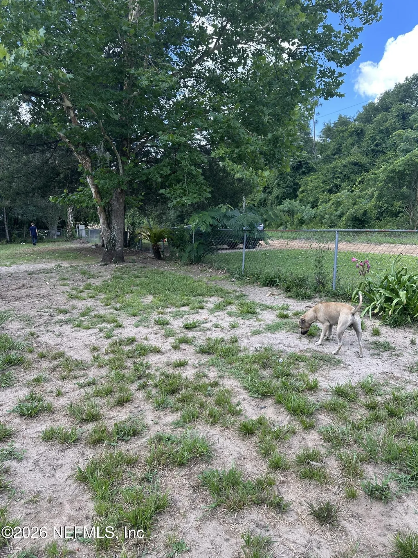 608 Kitty Avenue Interlachen FL 32148
