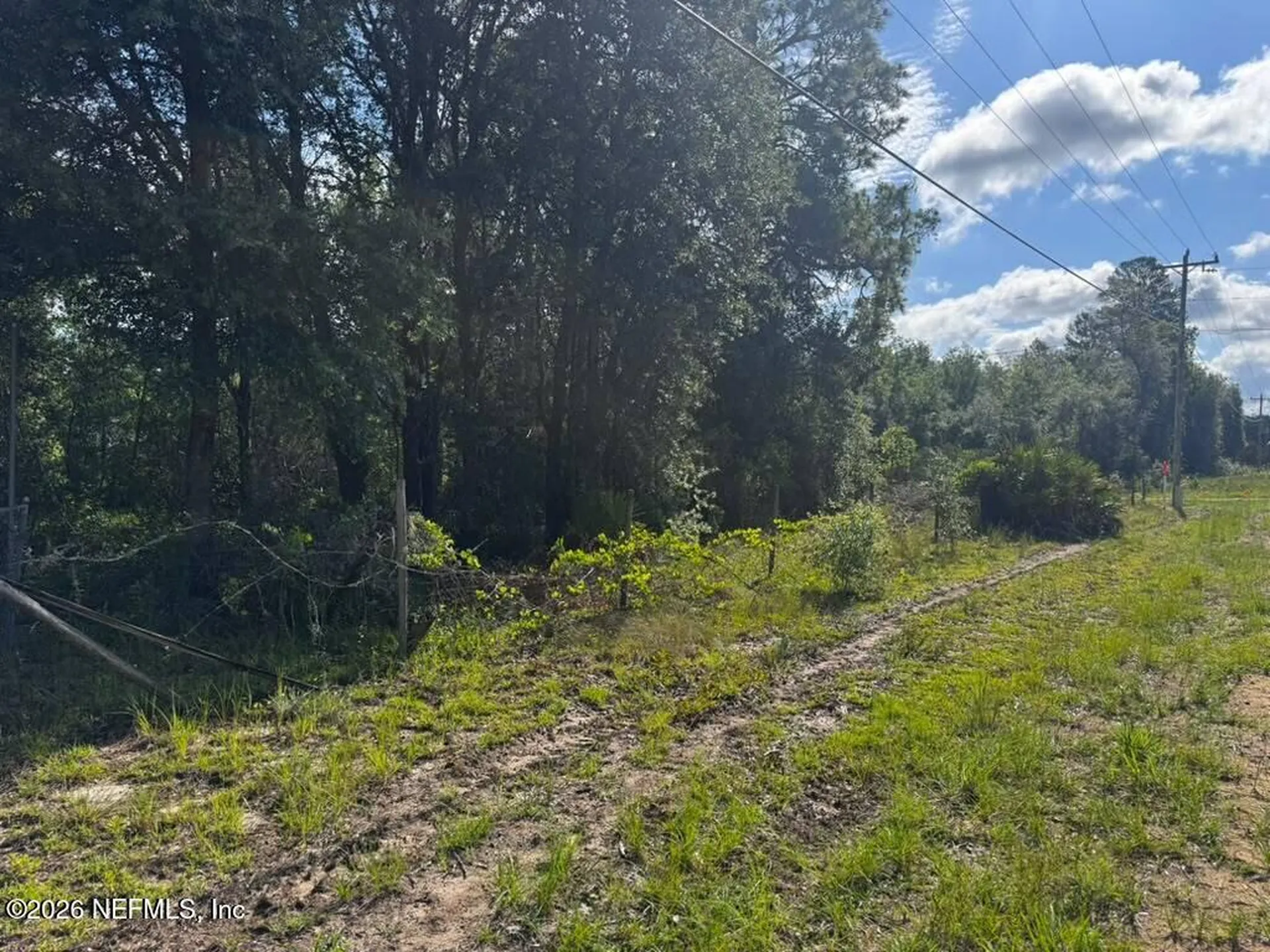 602 Junior Lake Drive Interlachen FL 32148
