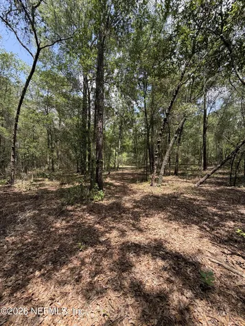 Tbd Lot6/7 SE 1st Avenue Keystone Heights FL 32656
