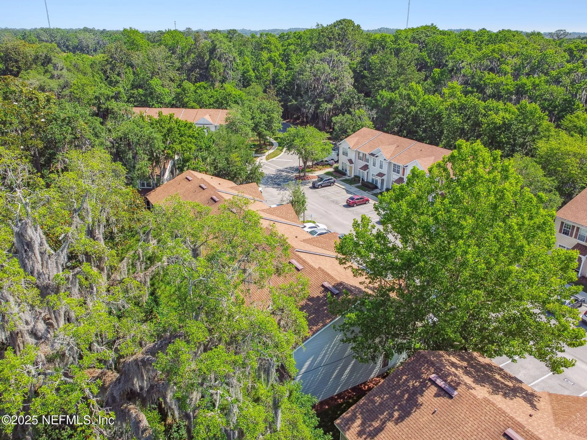 3542 Lone Tree Lane Jacksonville FL 32216
