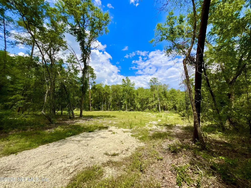 952 S Co Road 21 Hawthorne FL 32640