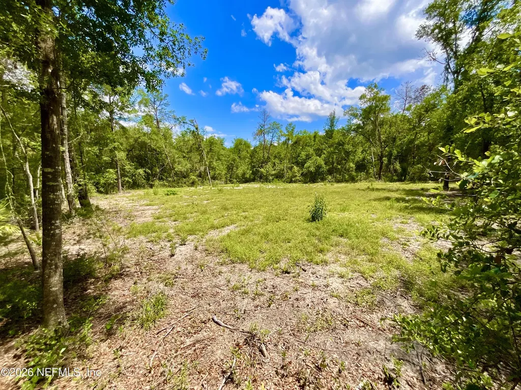 952 S Co Road 21 Hawthorne FL 32640