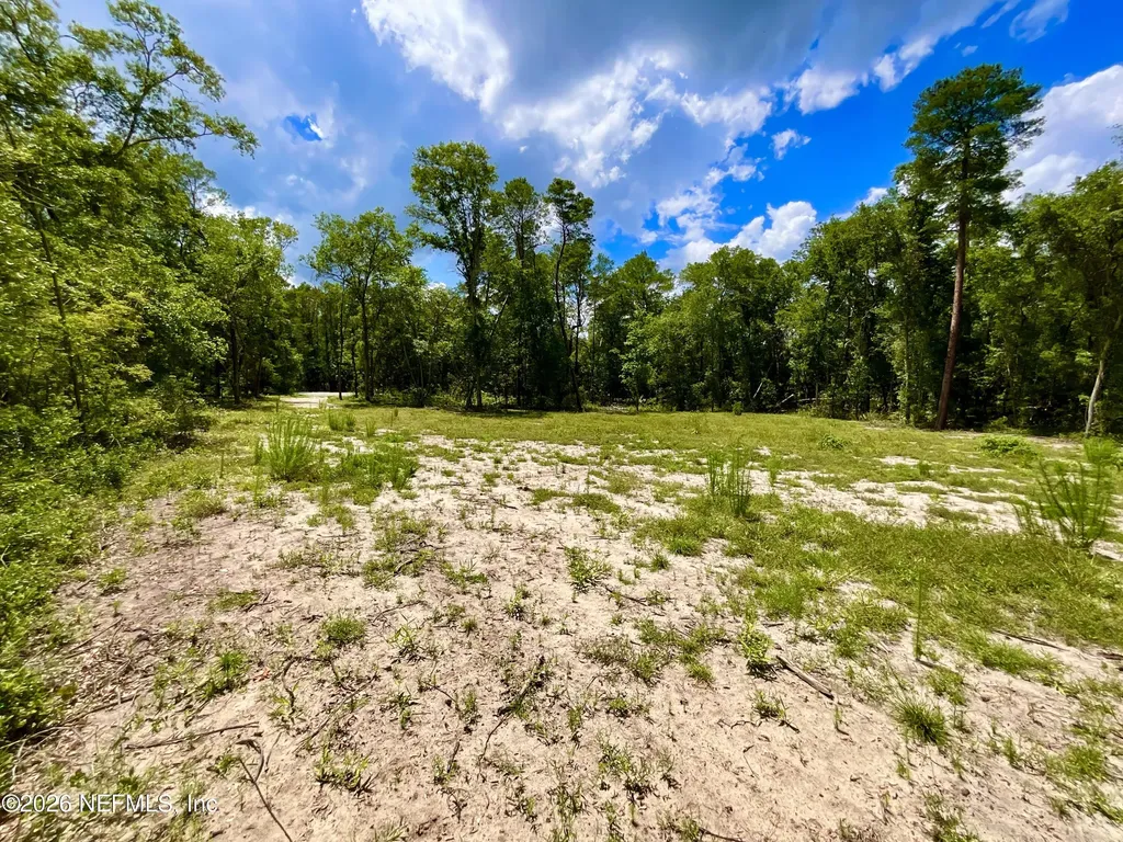 952 S Co Road 21 Hawthorne FL 32640