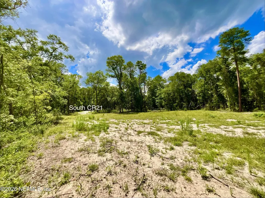 952 S Co Road 21 Hawthorne FL 32640