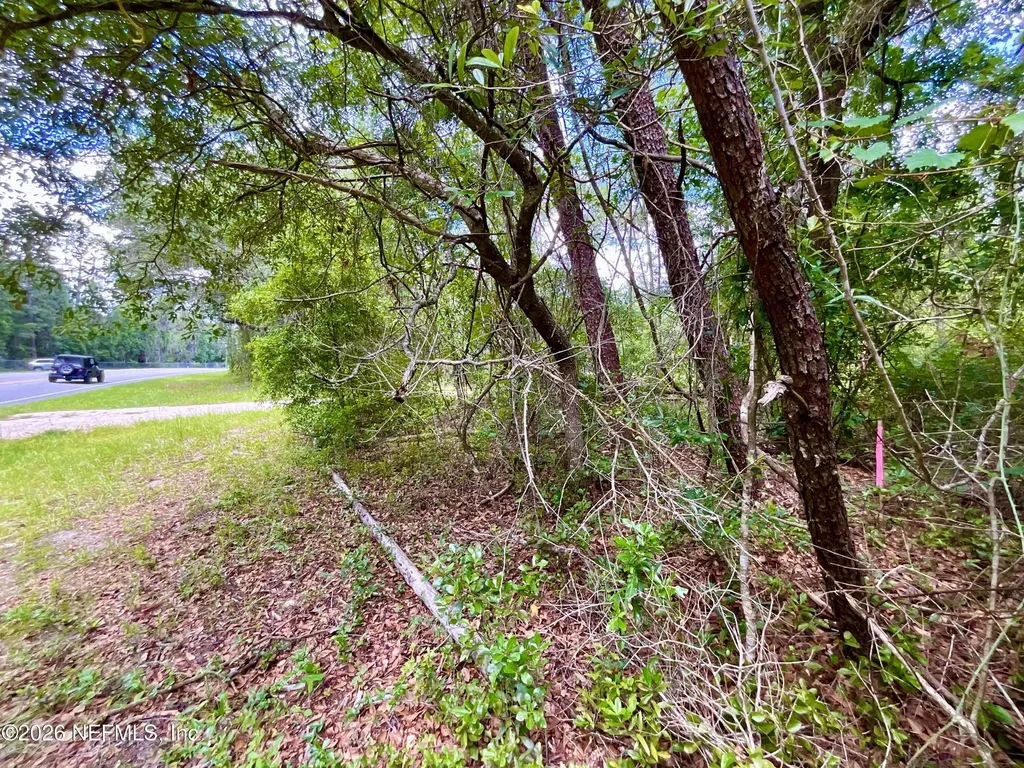 952 S Co Road 21 Hawthorne FL 32640