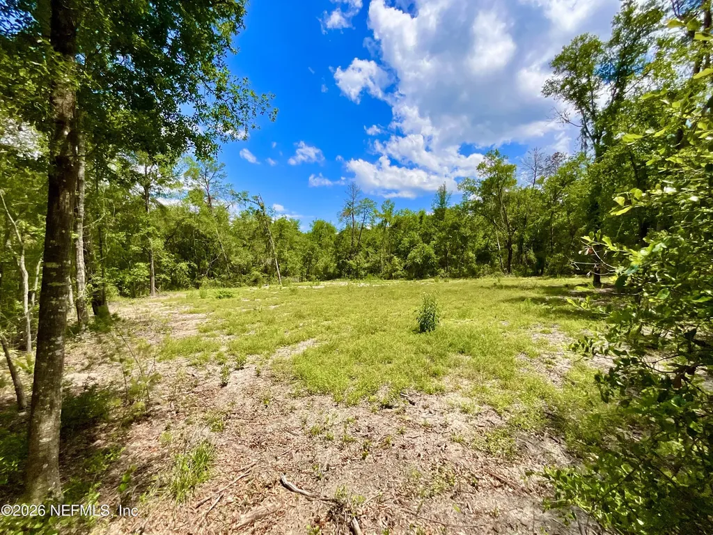 952 S Co Road 21 Hawthorne FL 32640