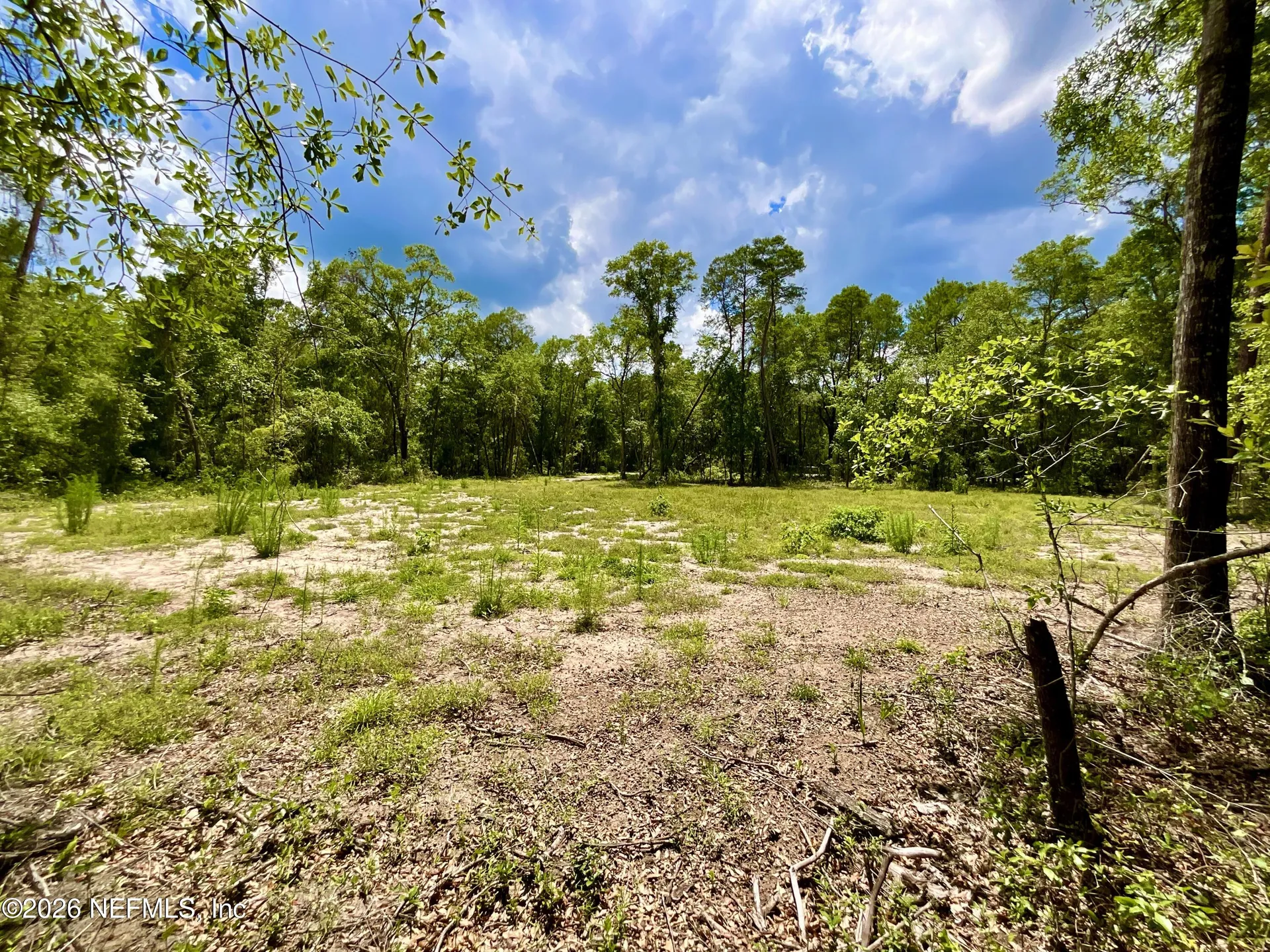 952 S Co Road 21 Hawthorne FL 32640
