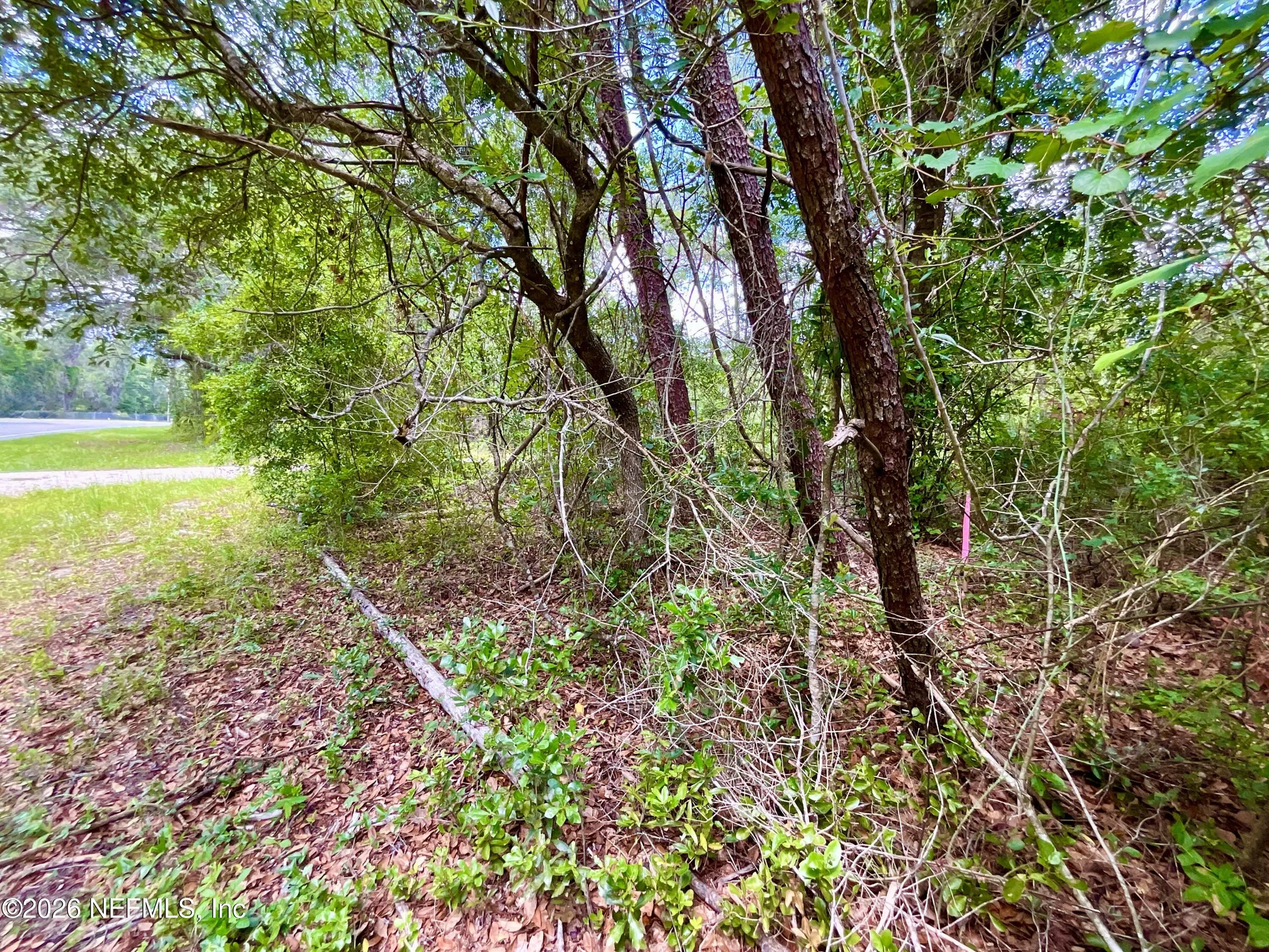 952 S Co Road 21 Hawthorne FL 32640