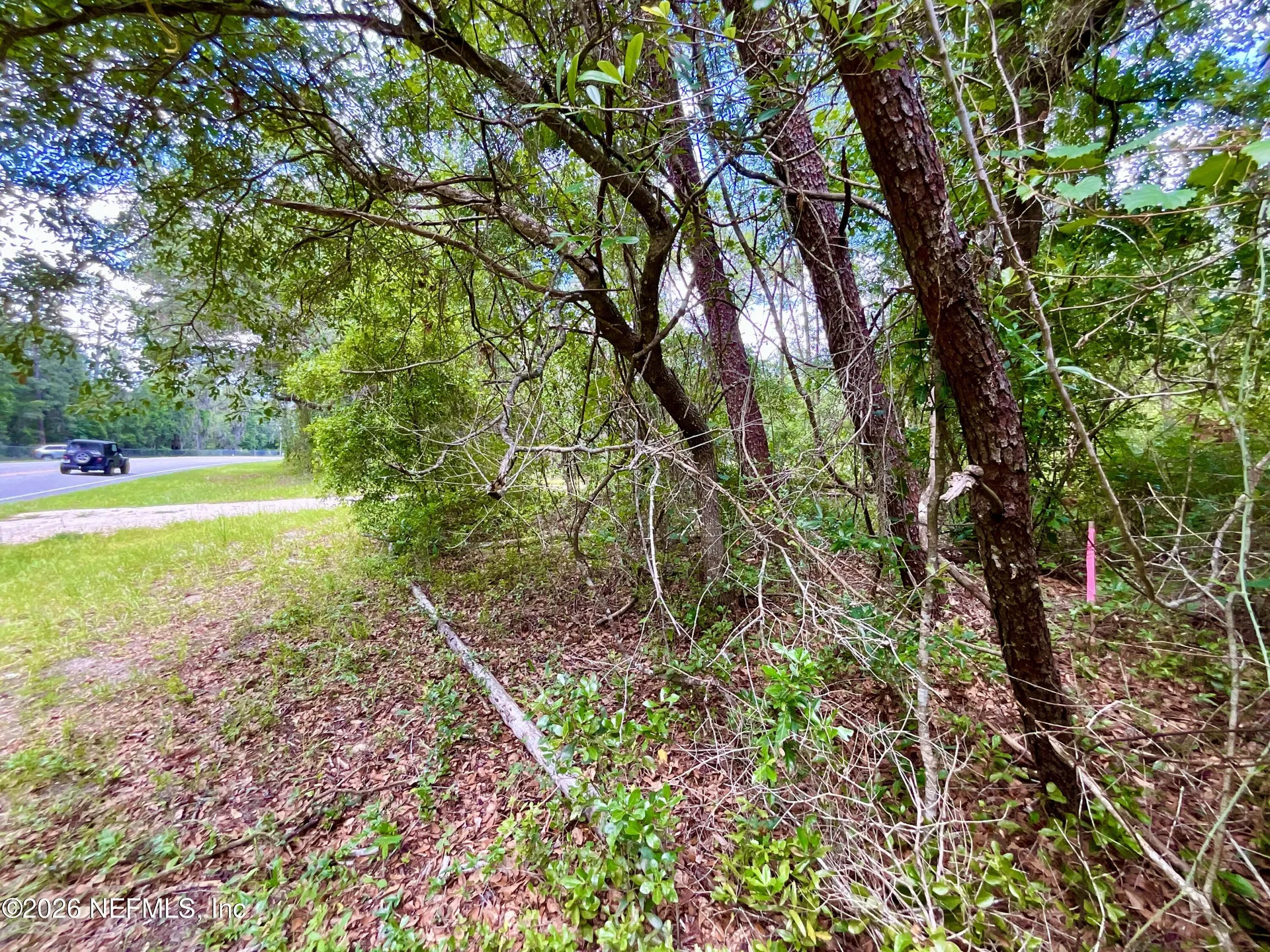 952 S Co Road 21 Hawthorne FL 32640