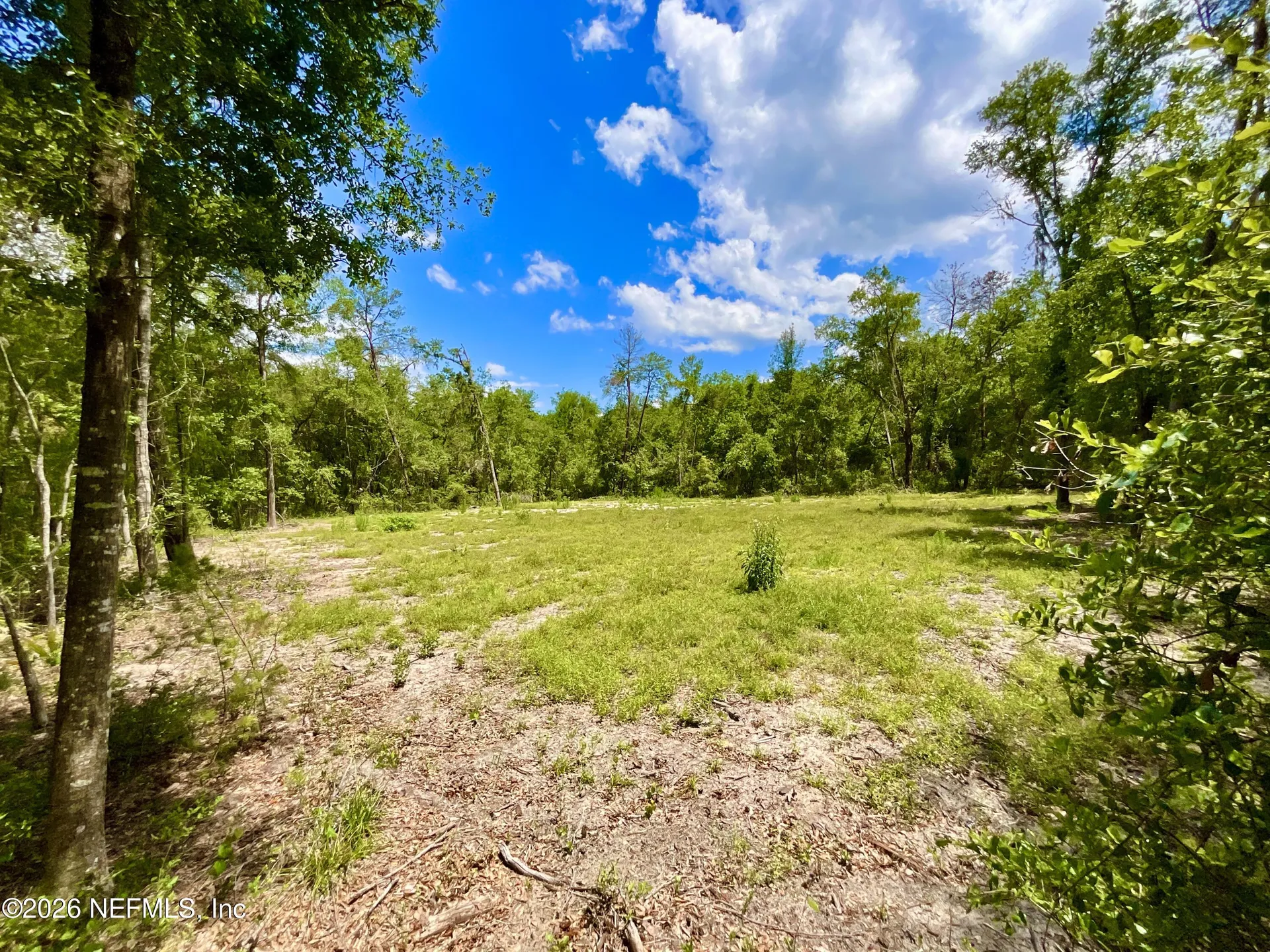 952 S Co Road 21 Hawthorne FL 32640