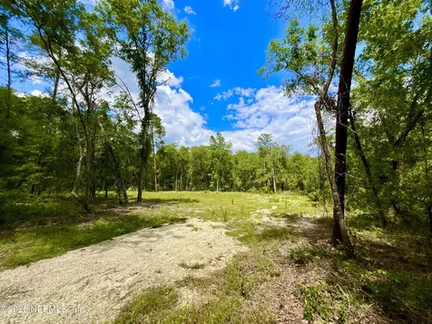 952 S Co Road 21 Hawthorne FL 32640
