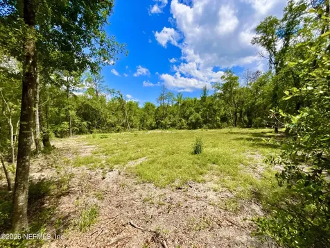 952 S Co Road 21 Hawthorne FL 32640