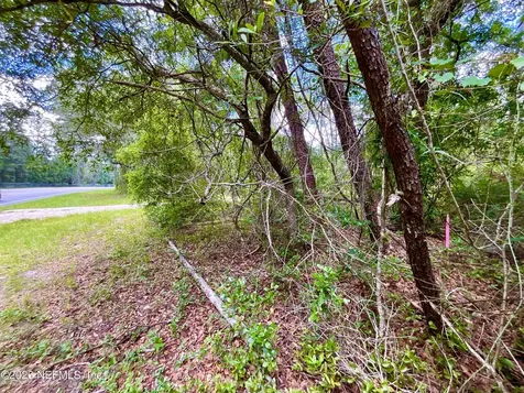 952 S Co Road 21 Hawthorne FL 32640