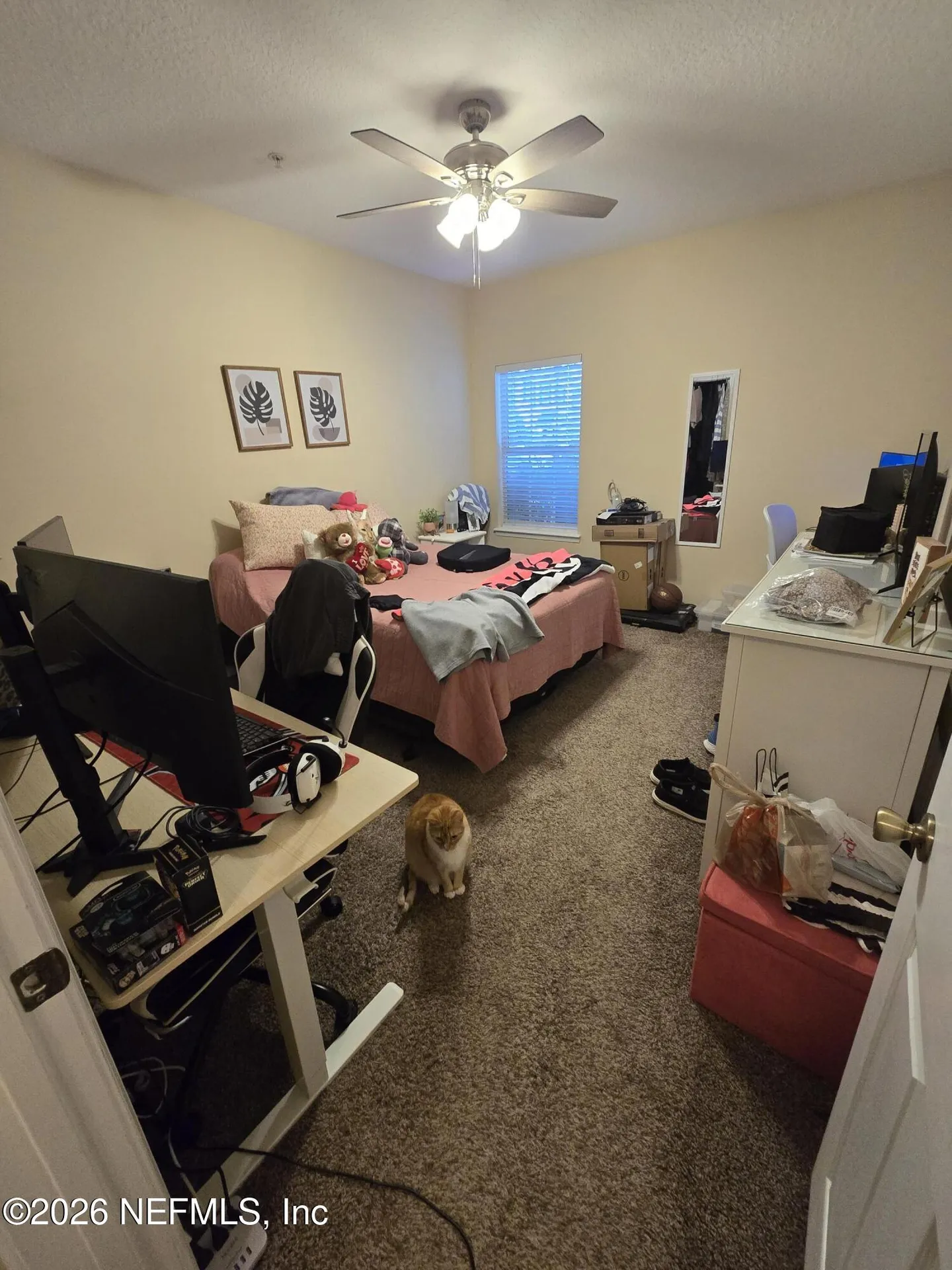 575 Oakleaf Plantation Parkway Orange Park FL 32065