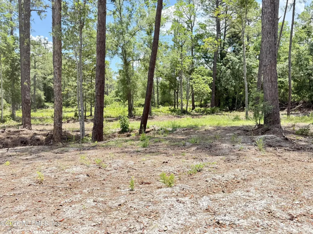 438 Chamberlain Road Satsuma FL 32189