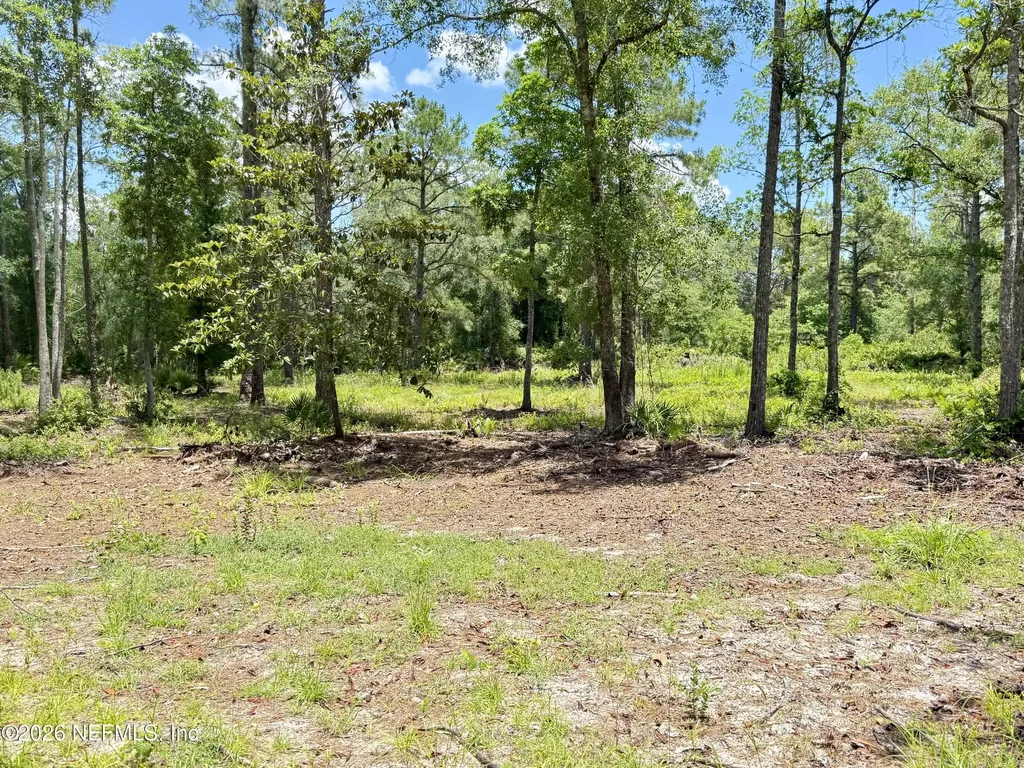 438 Chamberlain Road Satsuma FL 32189