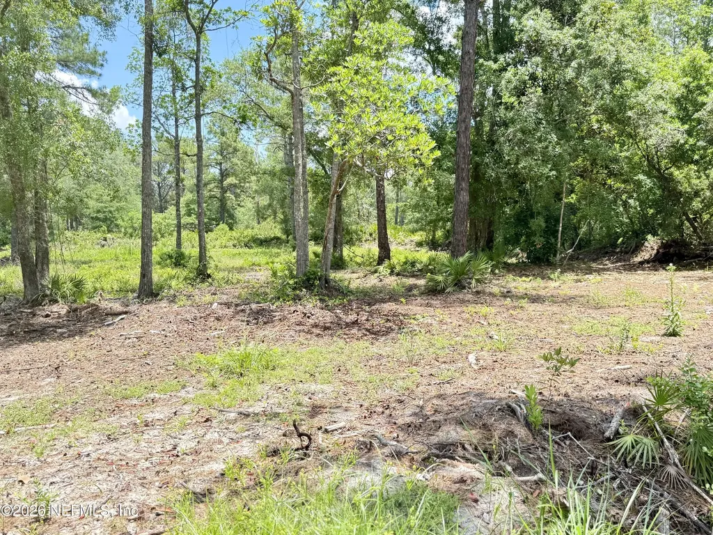 438 Chamberlain Road Satsuma FL 32189